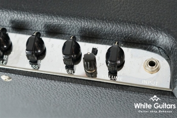 Blues Junior Billm Mods